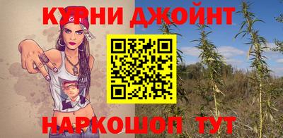 амф Гусь-Хрустальный