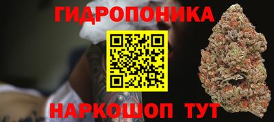 спиды Гусев
