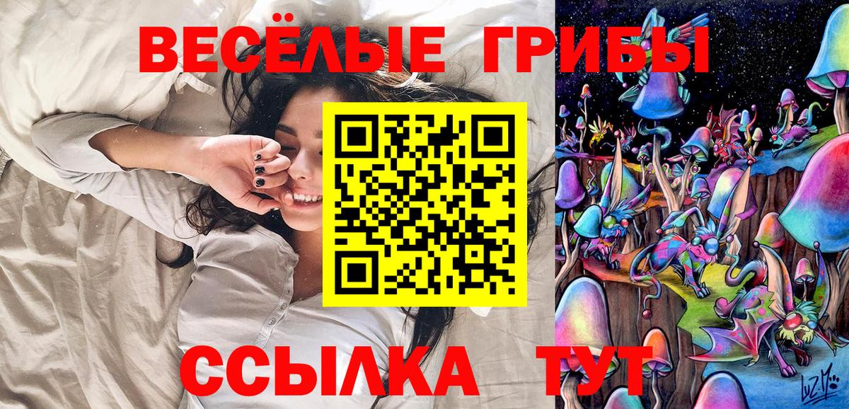 где найти наркотики  Псилоцибиновые грибы мицелий  Вход с VPN  Воскресенск 